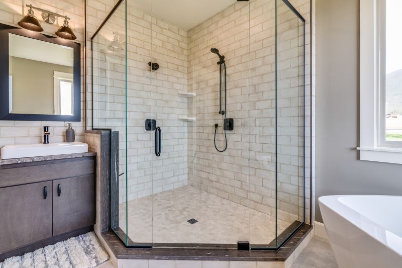 Glass Shower Door with Frosted Panels